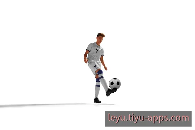 乐鱼App移动客户端界面与赛事直播